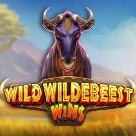 Wild Wildebeest Wins casino game by Pragmatic Play – featured logo at Spinsy Casino